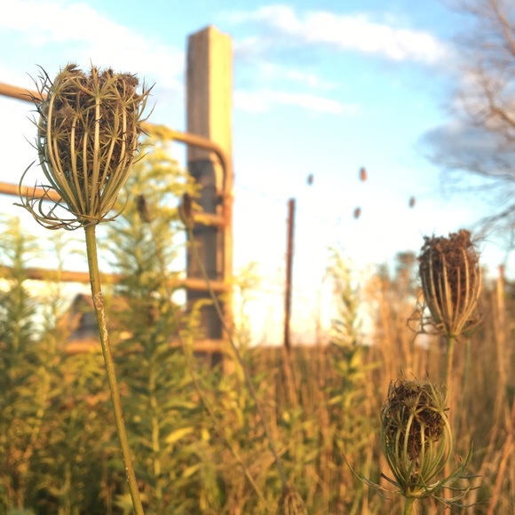 Meet your Posher, Sarah - Picture 9 of 14